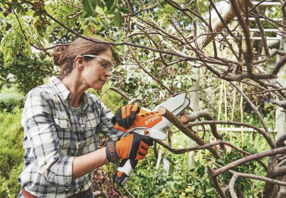 Léto na zahradě, STIHL, prořezání stromů