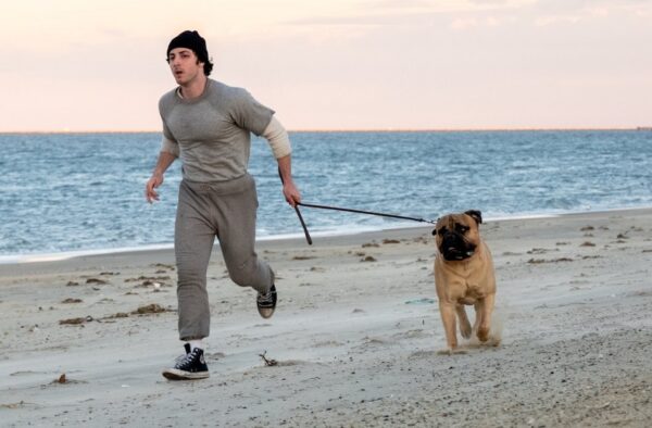 Stallone, film, kultura,