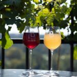 vinařské oslavy, Botanická zahrada, srpen, Vinobraní na Vinici sv. Kláry