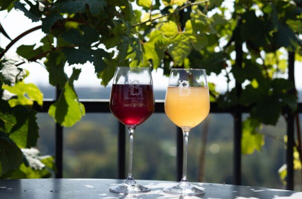 vinařské oslavy, Botanická zahrada, srpen, Vinobraní na Vinici sv. Kláry