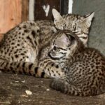 Zoo Olomouc