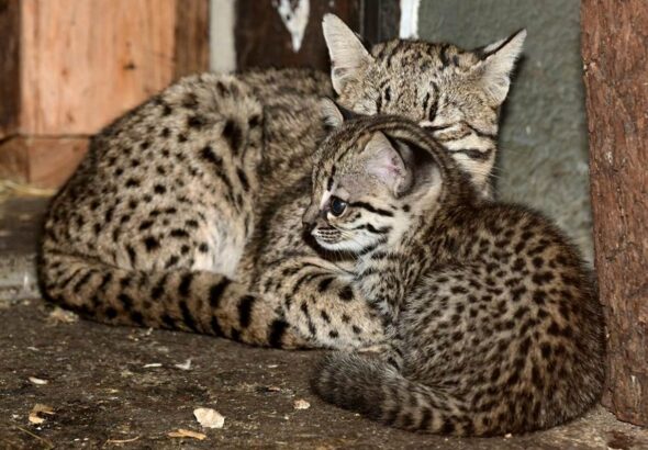 Zoo Olomouc