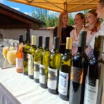 3. ročník Hluckého vinobraní, vinobraní,