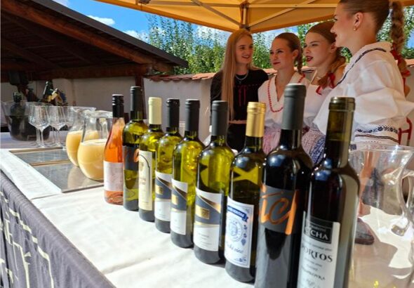3. ročník Hluckého vinobraní, vinobraní,