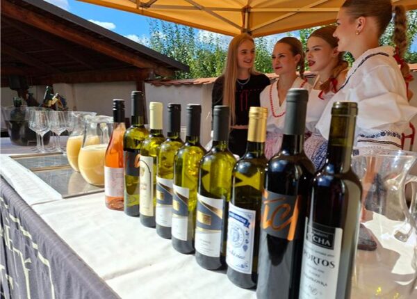 3. ročník Hluckého vinobraní, vinobraní,
