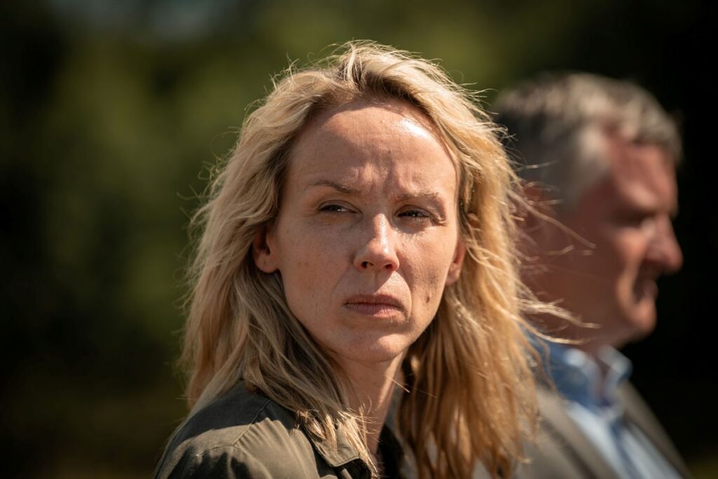 Serial Killer, Česká televize, TV, film