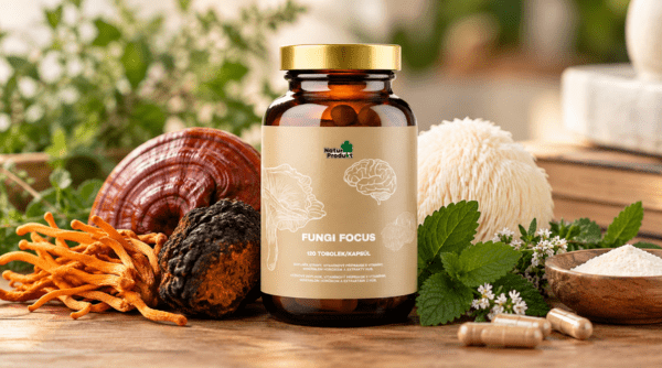 Naturprodukt Fungi Focus