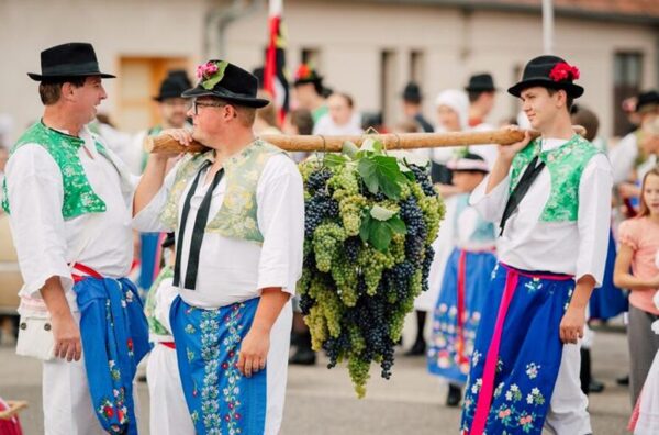 Strážnické vinobraní, Jižní Morava, vinobraní, víno