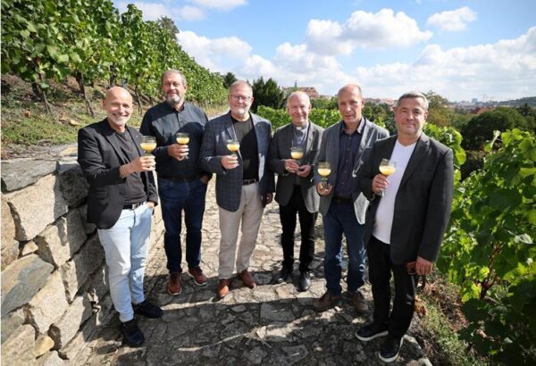 Vinobraní na Grébovce