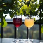 Vinobraní na Vinci sv. Kláry