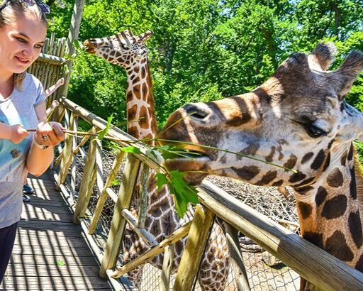 Zoo Zlín