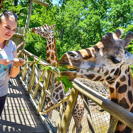 Zoo Zlín