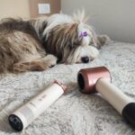 Dyson, test, fén, větráček